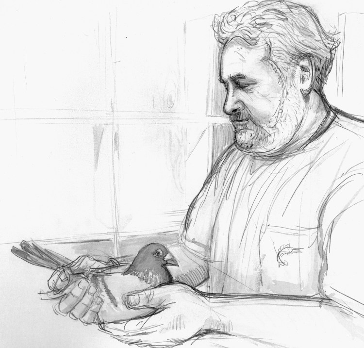 Vinnie Torre in his rooftop pigeon coop