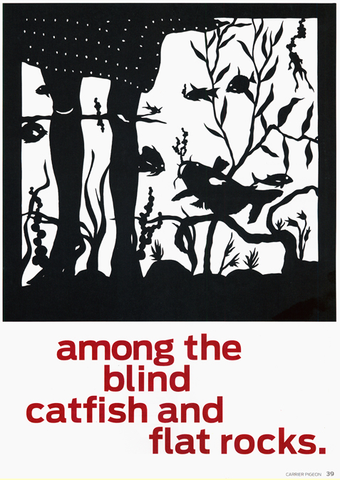 Art © Maude White Text: Chris Stanton