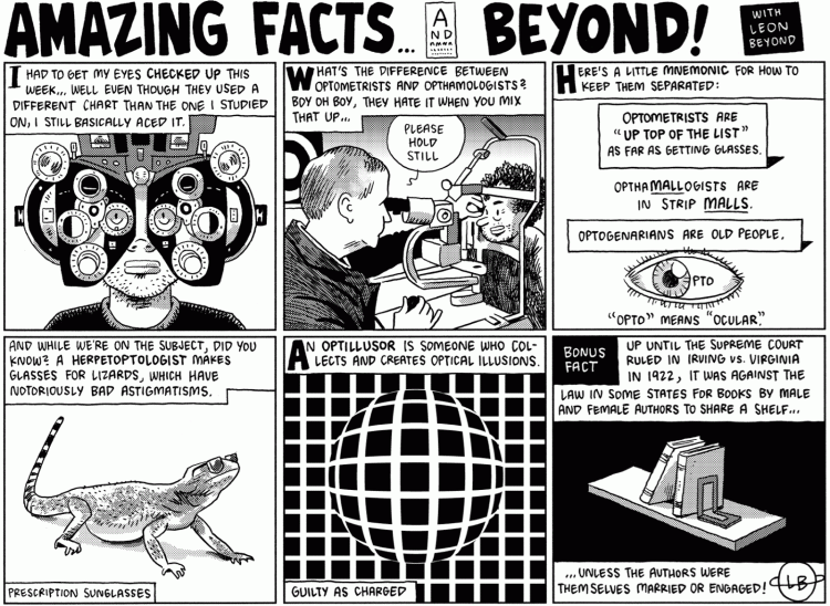 Amazing Facts and Beyond © Kevin Huizenga and Dan Zettwoch
