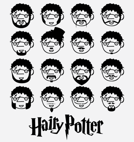 hairypotter500