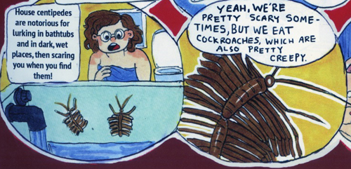 Centipedes among the bugs in Brain Bug. issue 1.