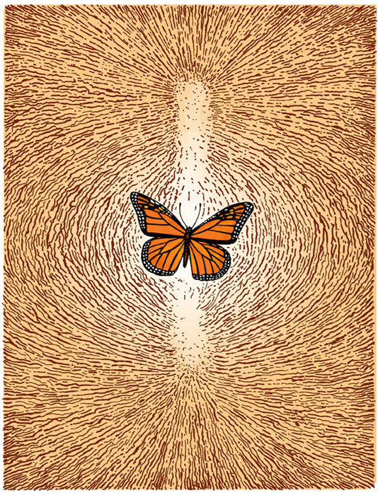 Monarch butterfly, one of the wondrous wordless pages from Ruins © Peter Kuper