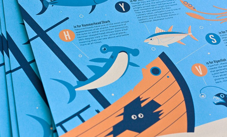 Ocean Alphabet © Ross Moody.