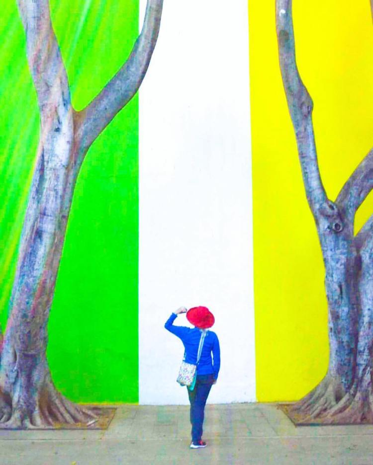 15994813_257392174693681_8210680612260427123_o