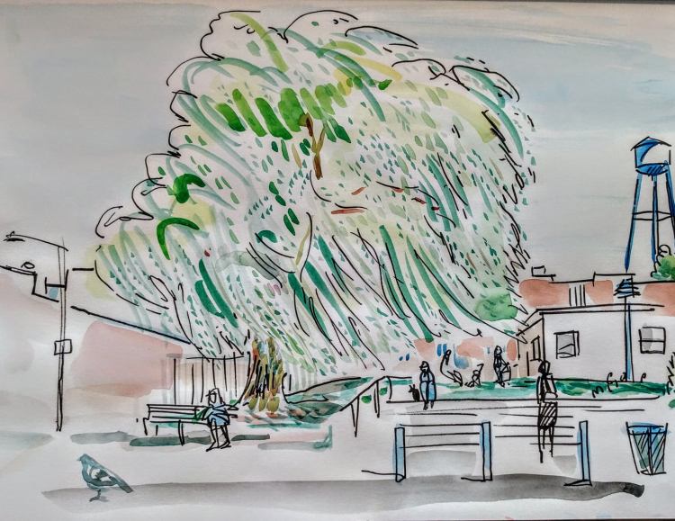 21994423_1567015956689763_5020886994626641658_o