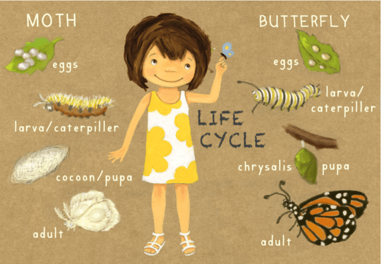 Screen Shot 2018-03-11 at 11.00.12 AM